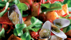 Salade retour de pêche