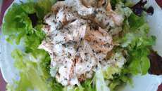 Salade de poulet et fenouil, sauce au chèvre