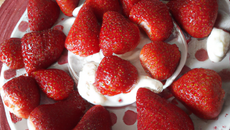 Fraises ginette