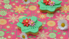 Biscuit à la vanille et sa décoration en pâte à sucre