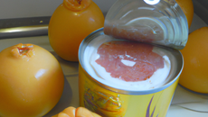 canette au pamplemousse