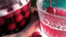 Vin de griottes ou cerises du nord