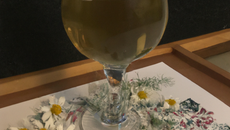 Vin de camomille