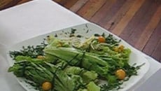 Rouleaux de Salade Verte à l'avocat et aux haricots rouges