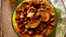 Tatin de champignons et noix de st-jacques
