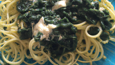 Spaghetti epinards boursin