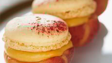 Macarons tout abricot
