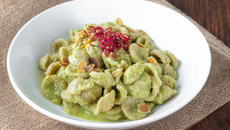 Orecchiettes au pesto de courgettes