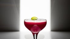 Virgin Lady coco in red