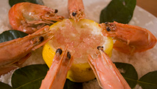 Crevettes et leur dip au yuzu.