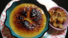 Crème brulee à la chicoree