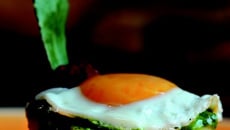 Princesse Amandine en persillade