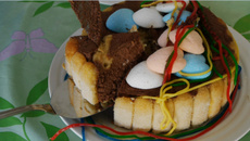 Charlotte au chocolat légère et colorée