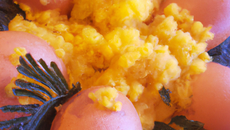 Œufs mimosa faciles