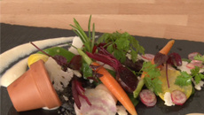 Légumes primeurs dans leur pot de terre, crème de haricots de Soissons