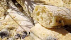 Fougasse à l'origan, aux olives et au parmesan