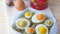 Le trio d'œufs mimosa au thon et 3 saveurs