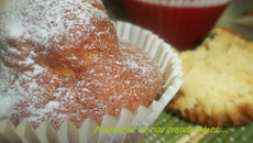 Madeleines De Grands-Mères....