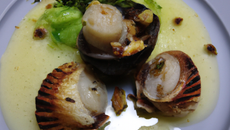 Noix de Saint-Jacques, lumaconi farcis aux morilles, vinaigrette tranché au jus de volaille