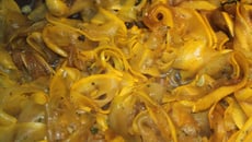 Rubans de courgettes jaunes