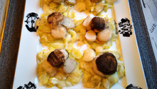 Saint-Jacques poêlées aux truffes