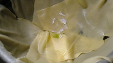 Lasagnes de piacenza