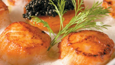 Coquilles St Jacques et ses copeaux de jambon de Bayonne