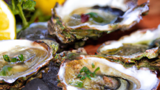 Huîtres de Saint Vaast à la coque