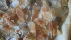 Tarte pommes et  pâte d'amande