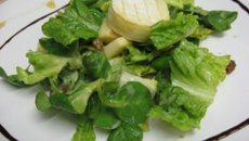 Salade du berger endormi dans un verger