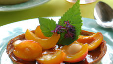 Tartelette aux mirabelles sur compotée d'abricots