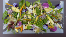 Salade : Le printemps est dans l'assiette