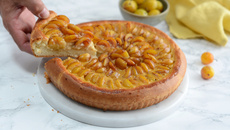 Tarte briochée aux mirabelles