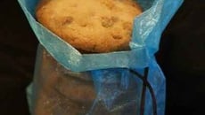 Cookies Gingembre 4 Epices et Pignons de pin