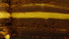 Gâteau aux trois chocolats et crème pâtissière