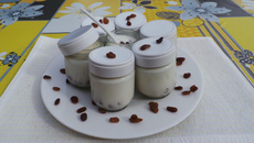 Yaourt rhum raisins