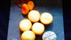Financier salé : chèvre, magret et abricots moelleux