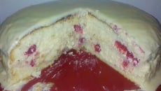 Framboisier enrobé de chocolat blanc