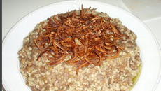 Moujadara (bourghoul aux lentilles)
