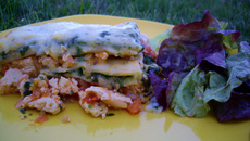 Lasagnes 'vertes'