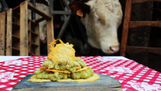 Mousseline de grenouilles sur croquants de comté
