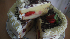 Fraisier et copeaux de chocolat