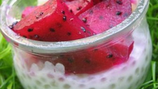 Perles du Japon coco au fruit du dragon