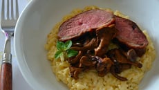 Risotto crémeux, girolles et magret de canard