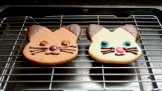 Petits sablés chats faciles et mignons