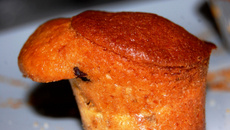 Muffin's aux pépites de chocolat