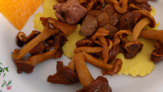 Parmentier de queue de bœuf Limousin aux girolles