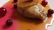 Civet de chapon à la gelée de groseille