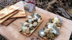 Feuilletés de quenelles de volaille