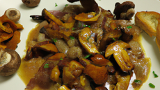 Dinde aux marrons et champignons